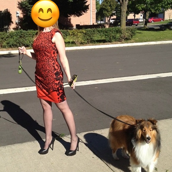 French Connection Red & Black Leopard Print Dress - Size 8 - Picture 2 of 6